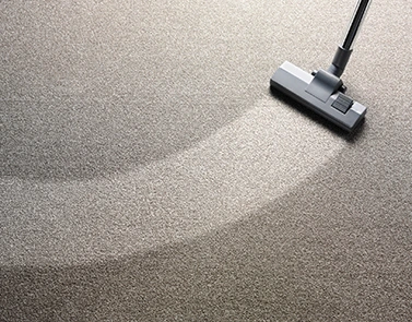 Carpet cleaning in same day